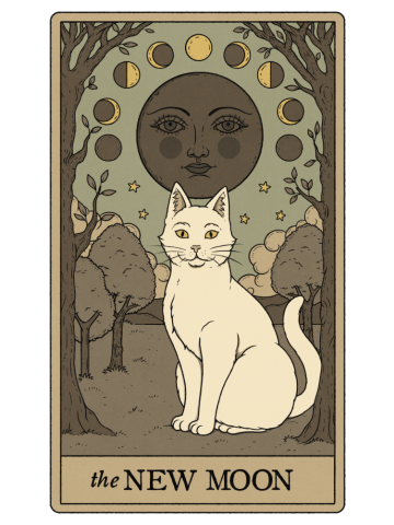 The New Moon Cat