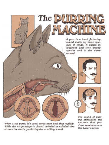 The Purring Machine