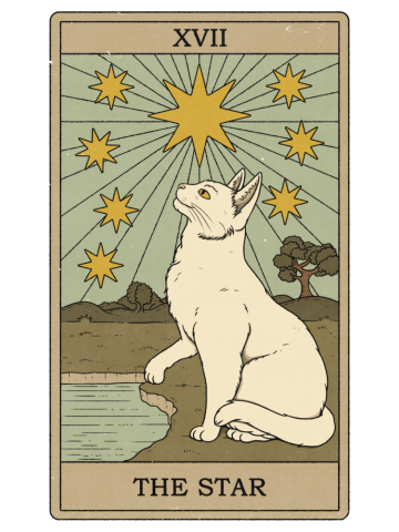 The Star - Cats Tarot