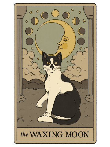 The Waxing Moon Cat