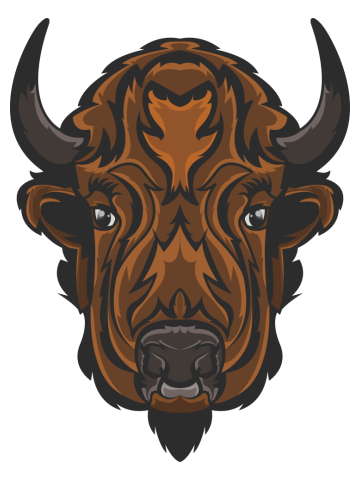 The lazy bison