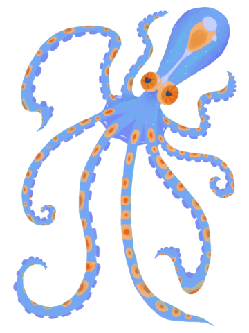 Tiny Blue and Orange Deep Sea Ocean Octopus