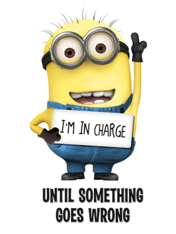 I'm In Charge - Minions