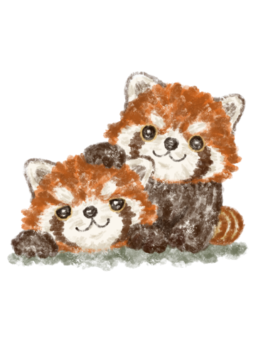 Two happy red pandas