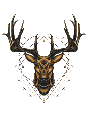 Vector Deer head illustration with ornament design on the dark background in serious face. T shirt d
