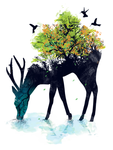 Watering (A Life Into Itself)