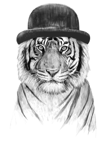 Welcome to the Jungle