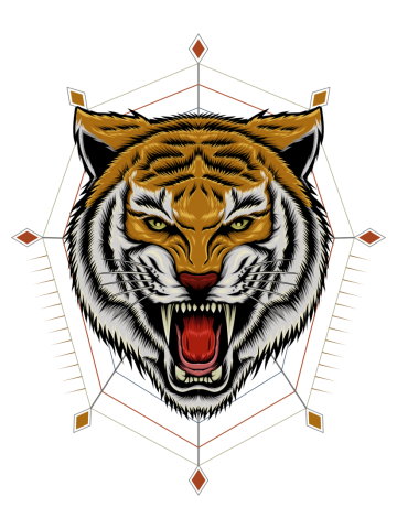 Wild tiger logo. Claw scratches image for logo, t-shirt design.