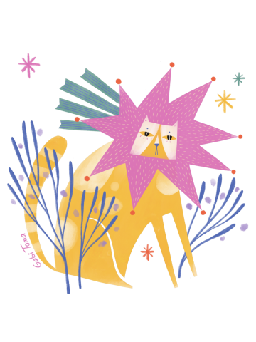 Winter falling star cat