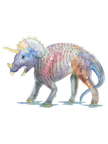 X-Ray Triceratops