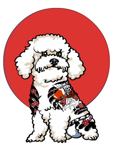 Yakuza Bichon Frise