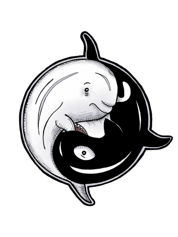 Yin and Yang Whales