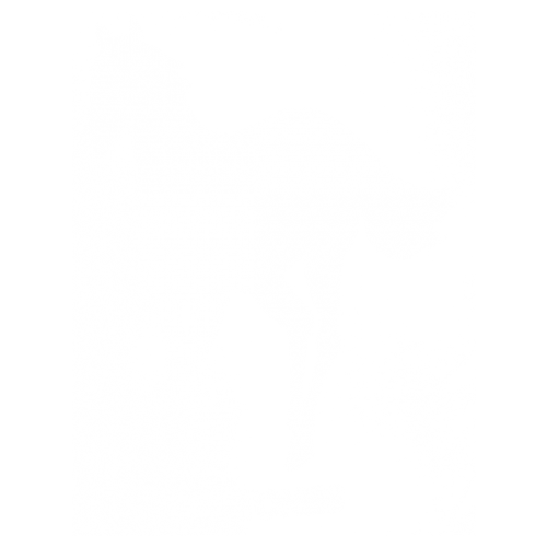 Insignificant Butcher clone Tricouri si bluze cu Deftones - White horse | Tricouri Personalizate