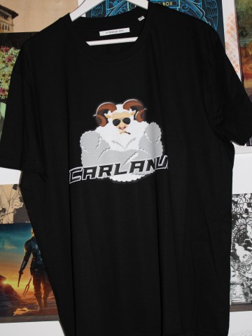Tricou imprimat barbati, 2XL